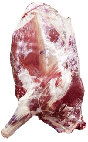 100028423901b0 removebg preview